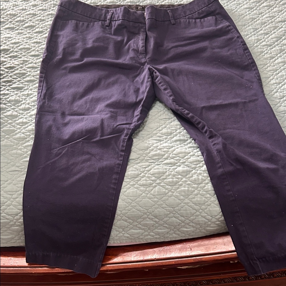 Pick 5 for $20! Worthington Deep Purple Women's Bermudas - Picture 3 of 4